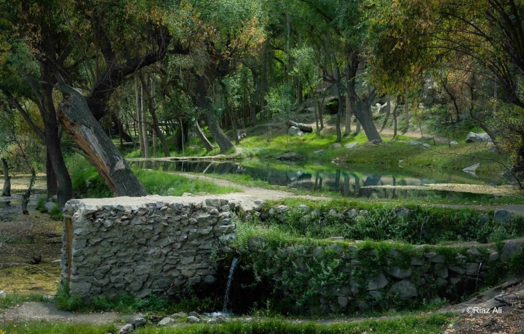 Barah ponds, Gorgeous Ghance