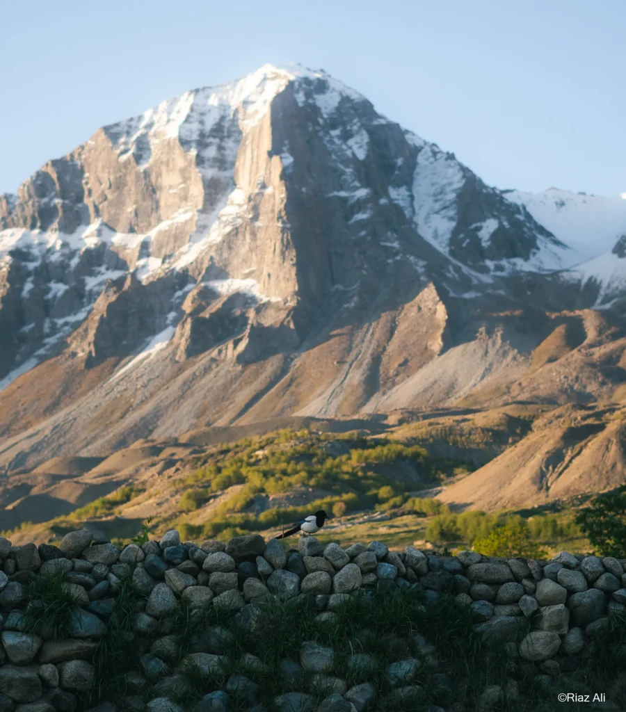 Khaplu Broq, Gorgeous Ghanche