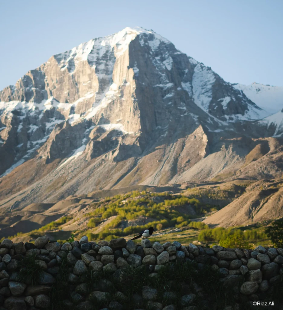 Khaplu Broq, Gorgeous Ghanche