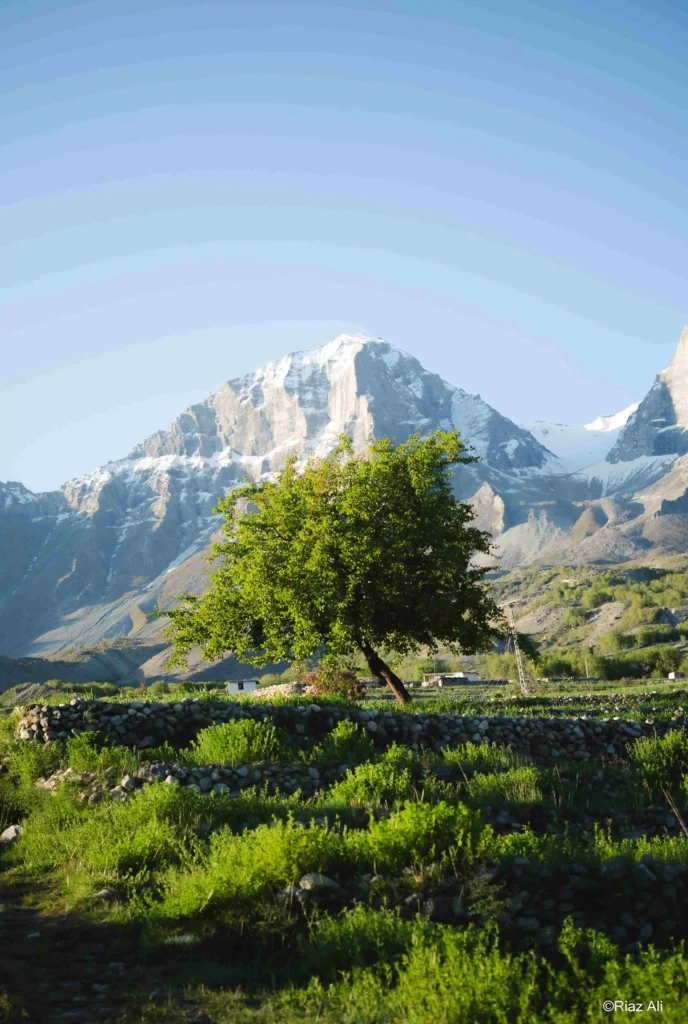 Khaplu Broq, Gorgeous Ghanche