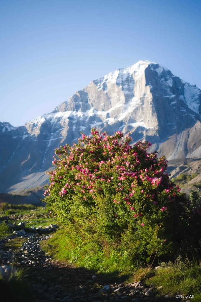 Khaplu Broq, Gorgeous Ghanche