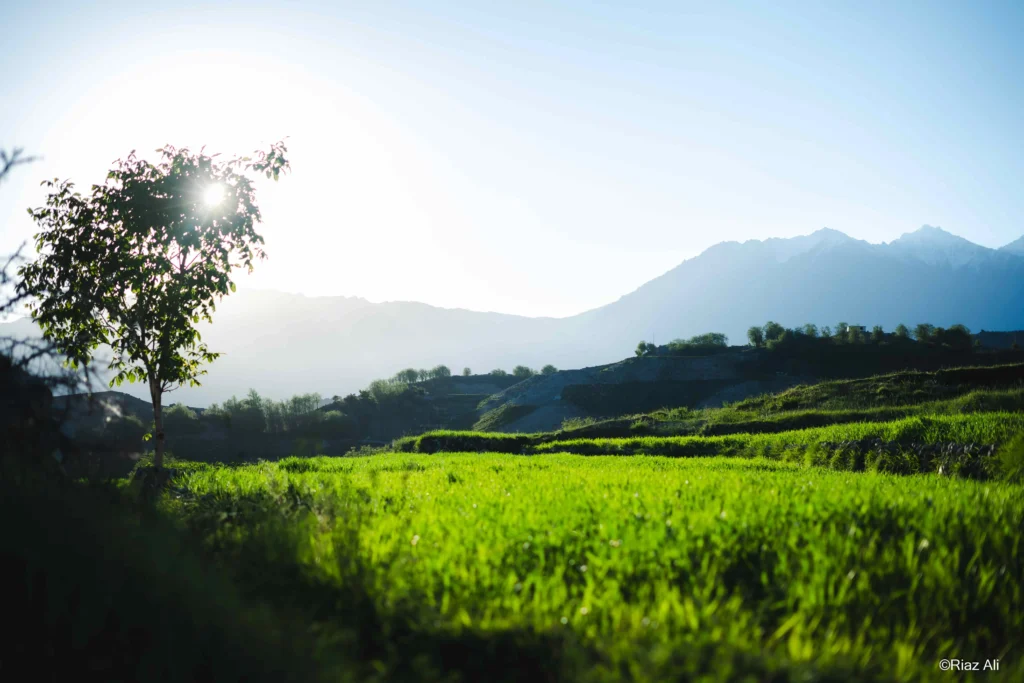 Khaplu Broq, Gorgeous Ghanche
