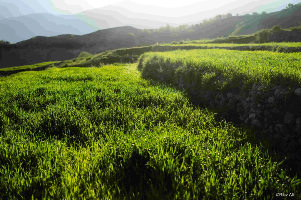 Khaplu Broq, Gorgeous Ghanche